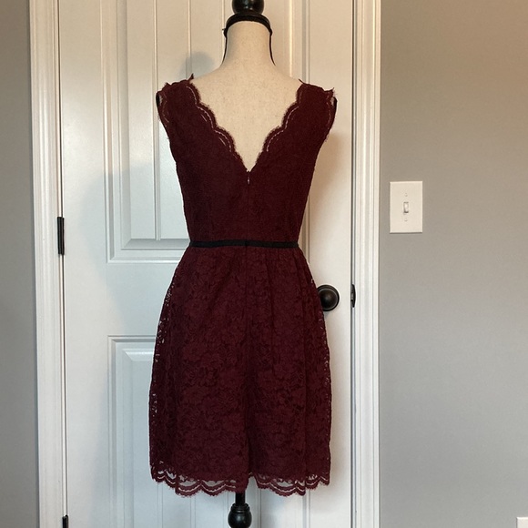Loft Lace Dress - Picture 6 of 10